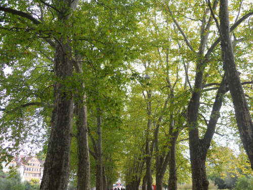 DSCN3478