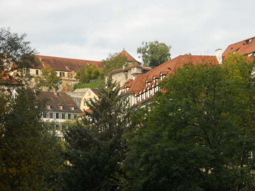 DSCN3479
