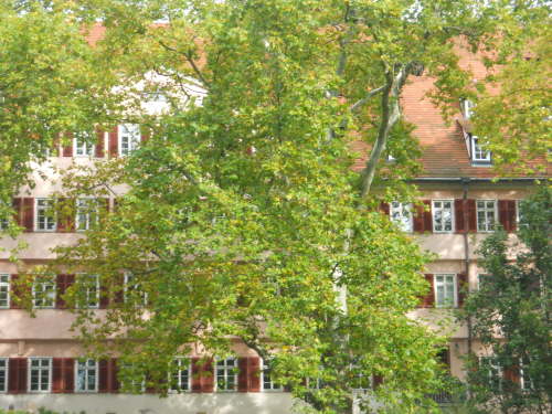 DSCN3482
