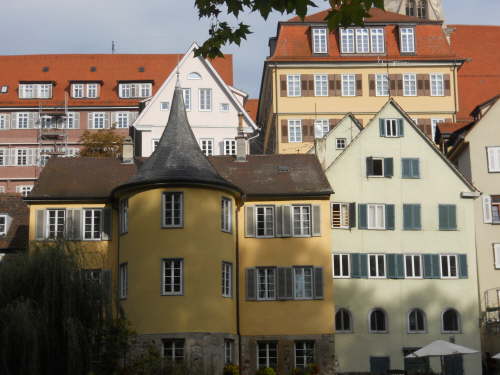 DSCN3485