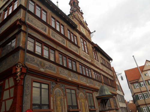 DSCN3490