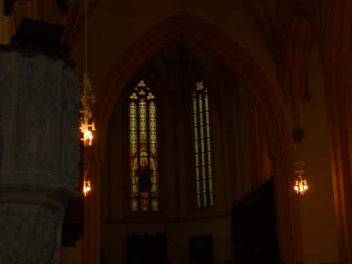 DSCN3540