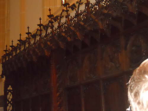 DSCN3553