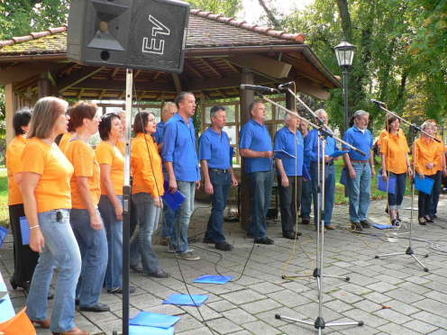 cantus iuvenis